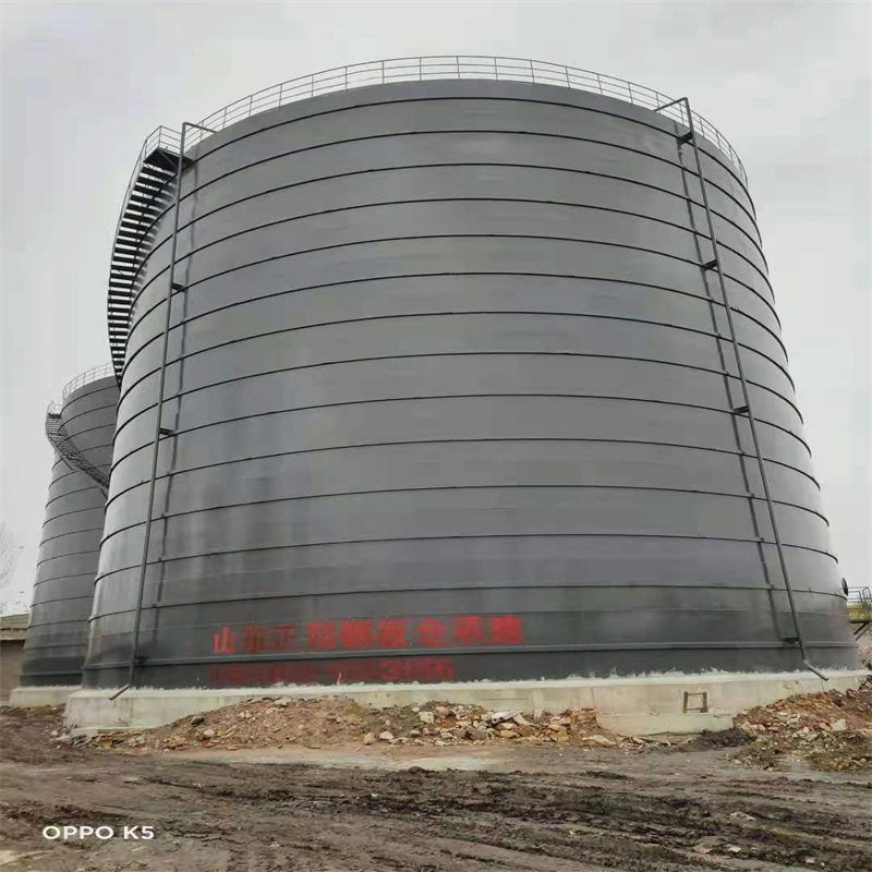 杜尔伯特3万吨大型钢板库